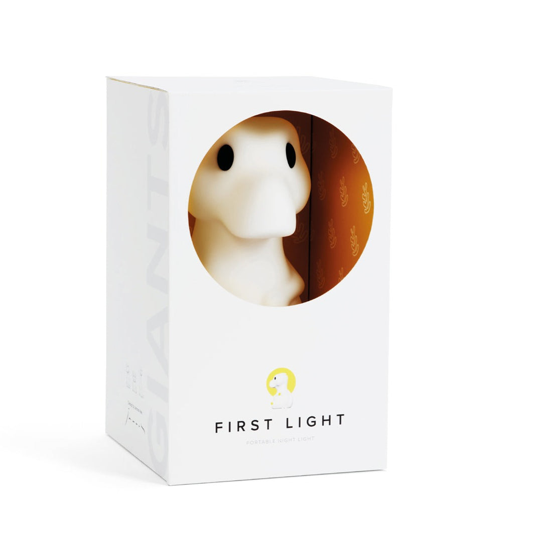 Mr Maria Wiederaufladbares Kinderlicht – Rena Dinosaurier