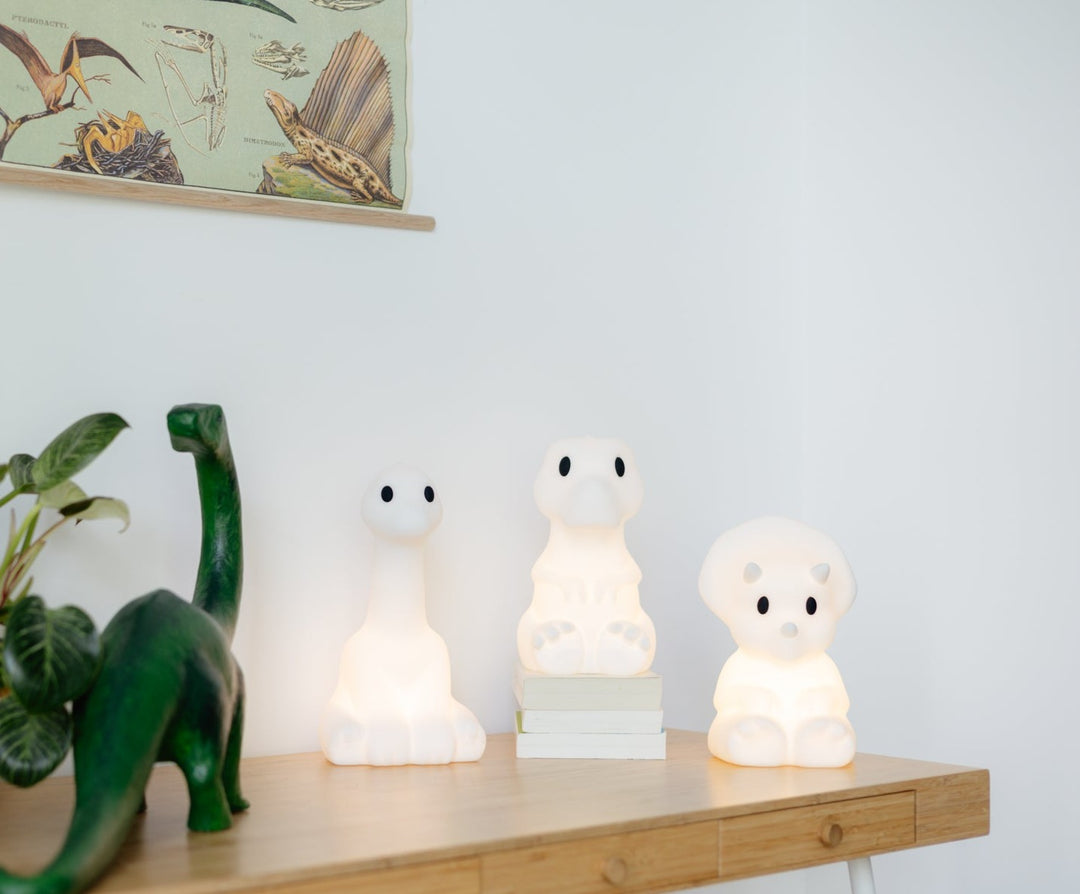 Mr Maria Wiederaufladbares Kinderlicht – Rena Dinosaurier