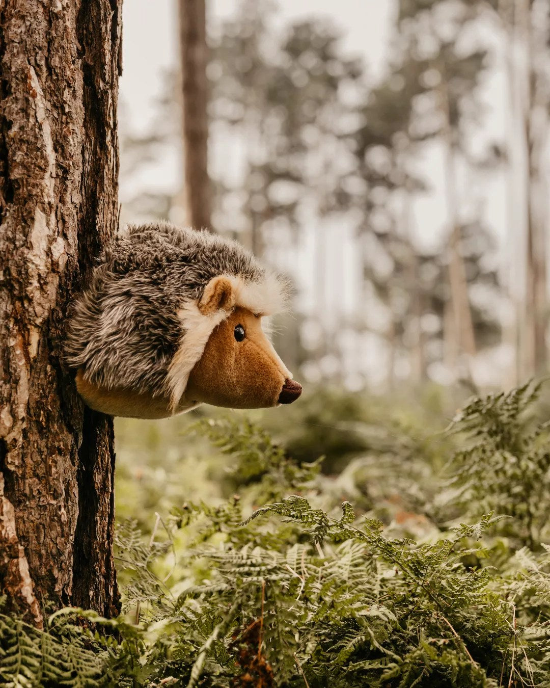 Wild & Soft X Josh & Jenna - Jenna The Hedgehog