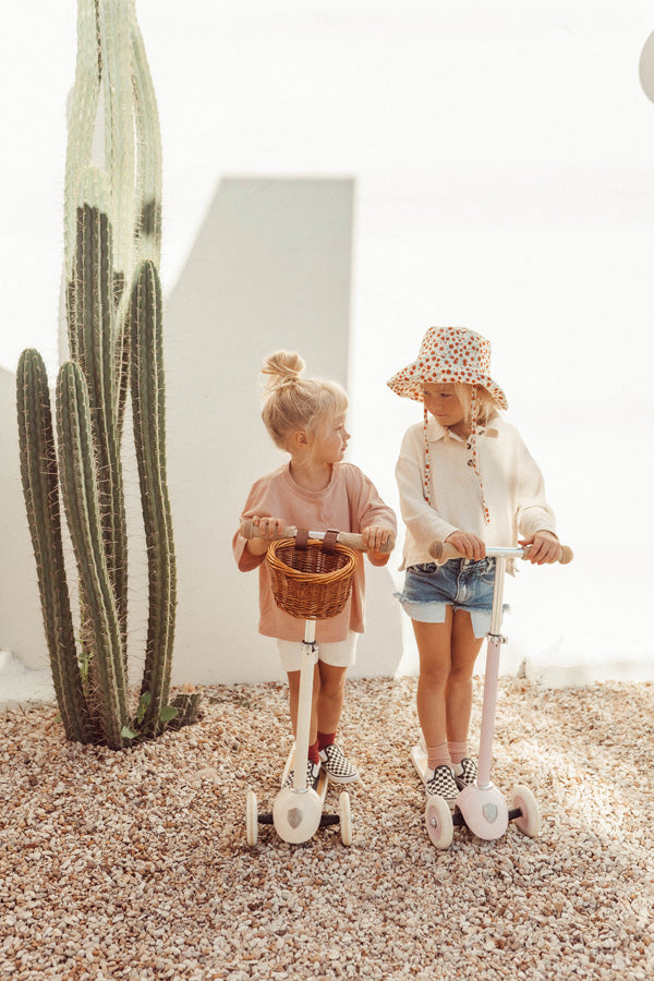 Banwood Scooter - Pink