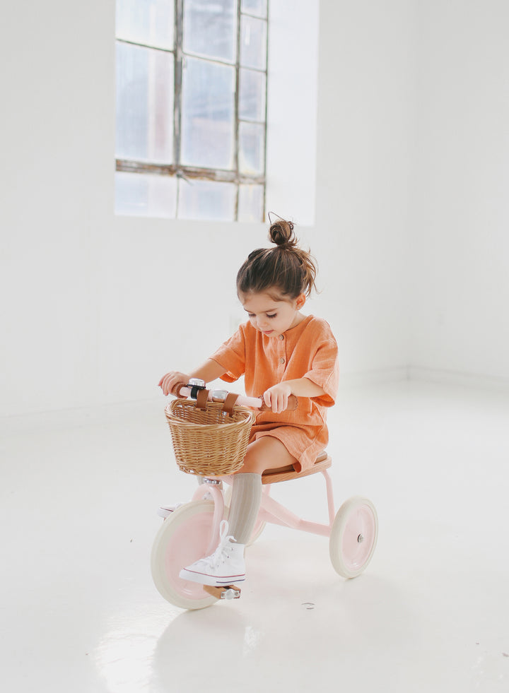Banwood Trike - Pink