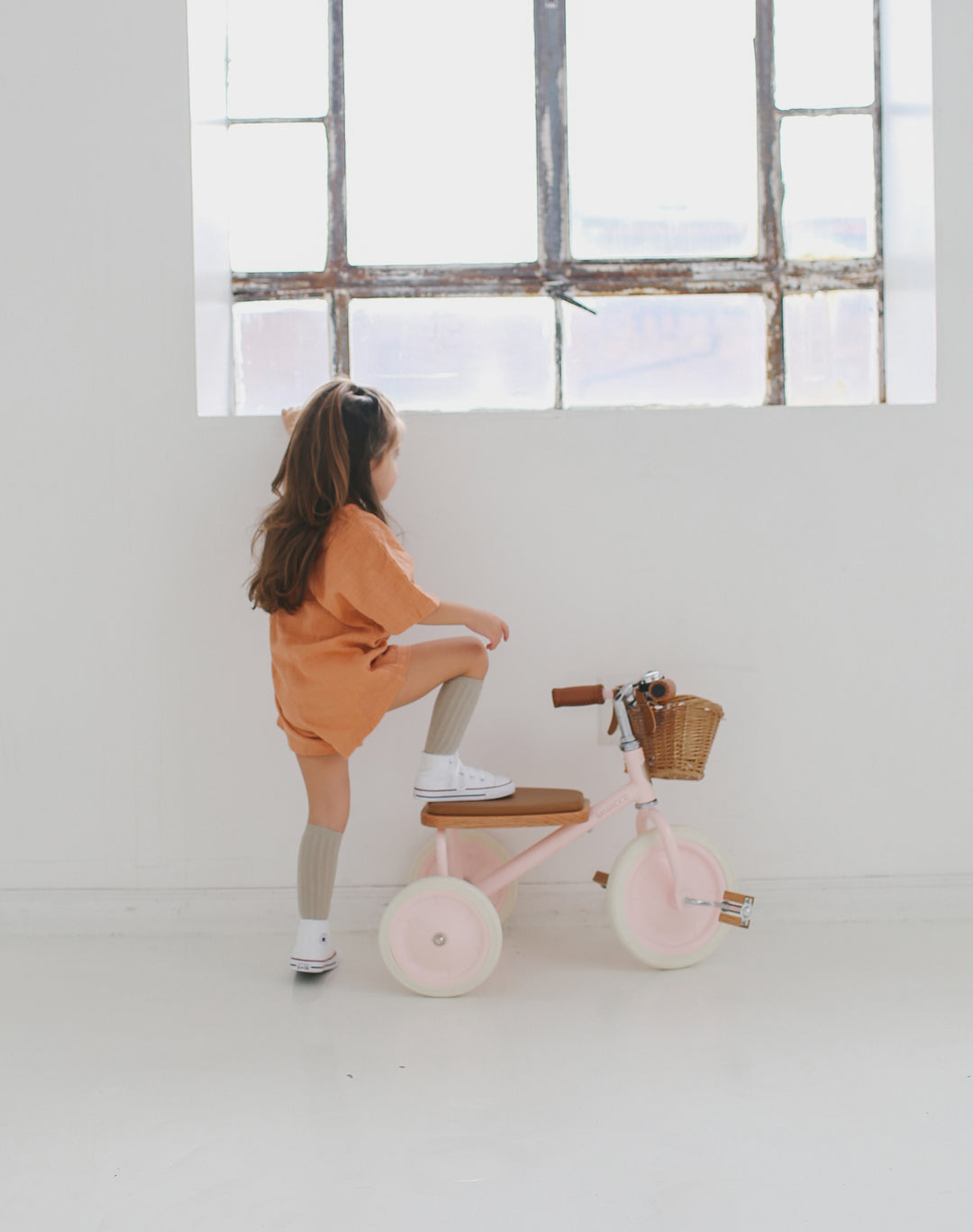 Banwood Trike - Pink