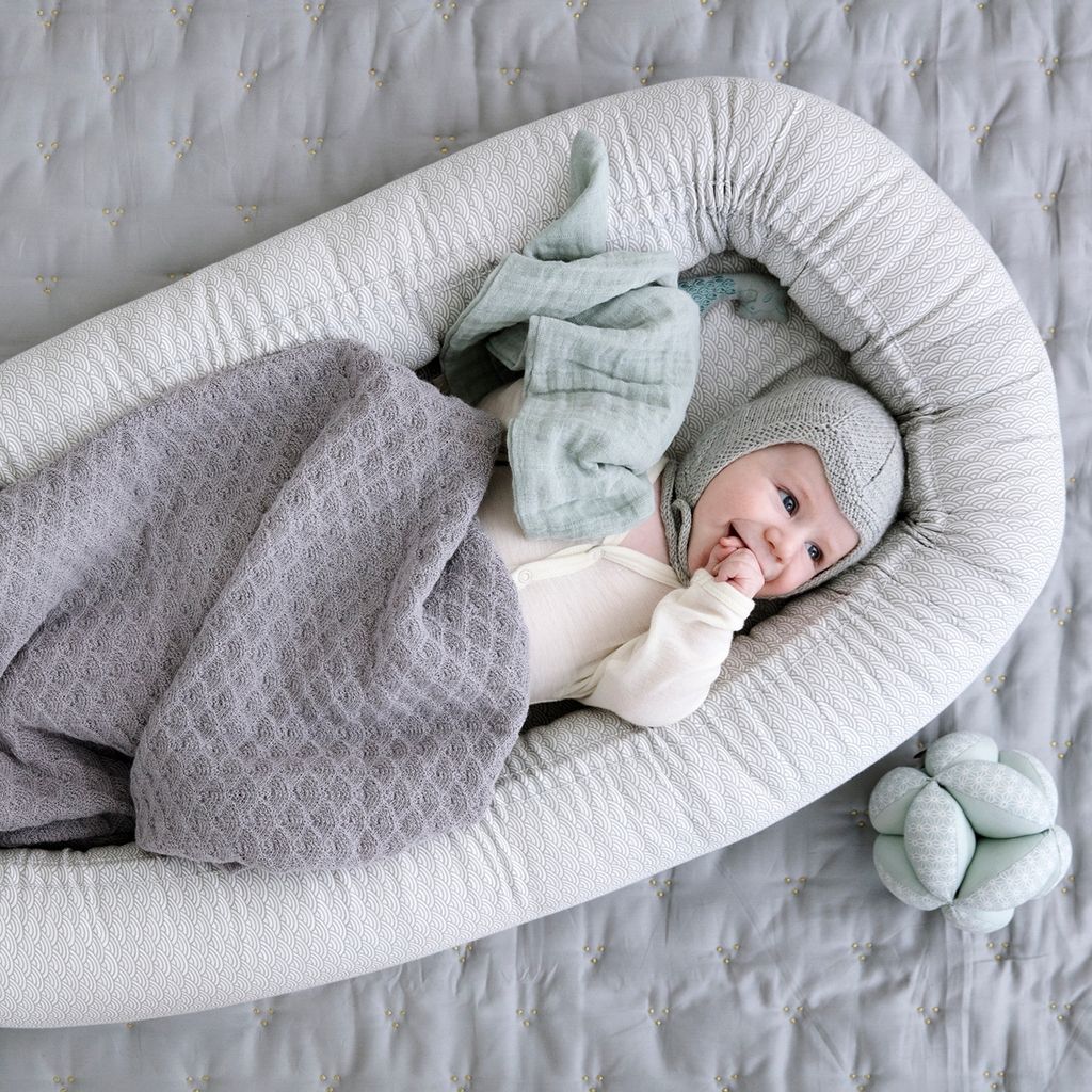 Baby Nest
