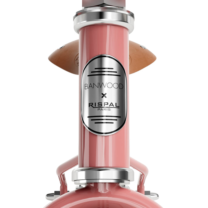 Banwood Laufrad Icon - Rose