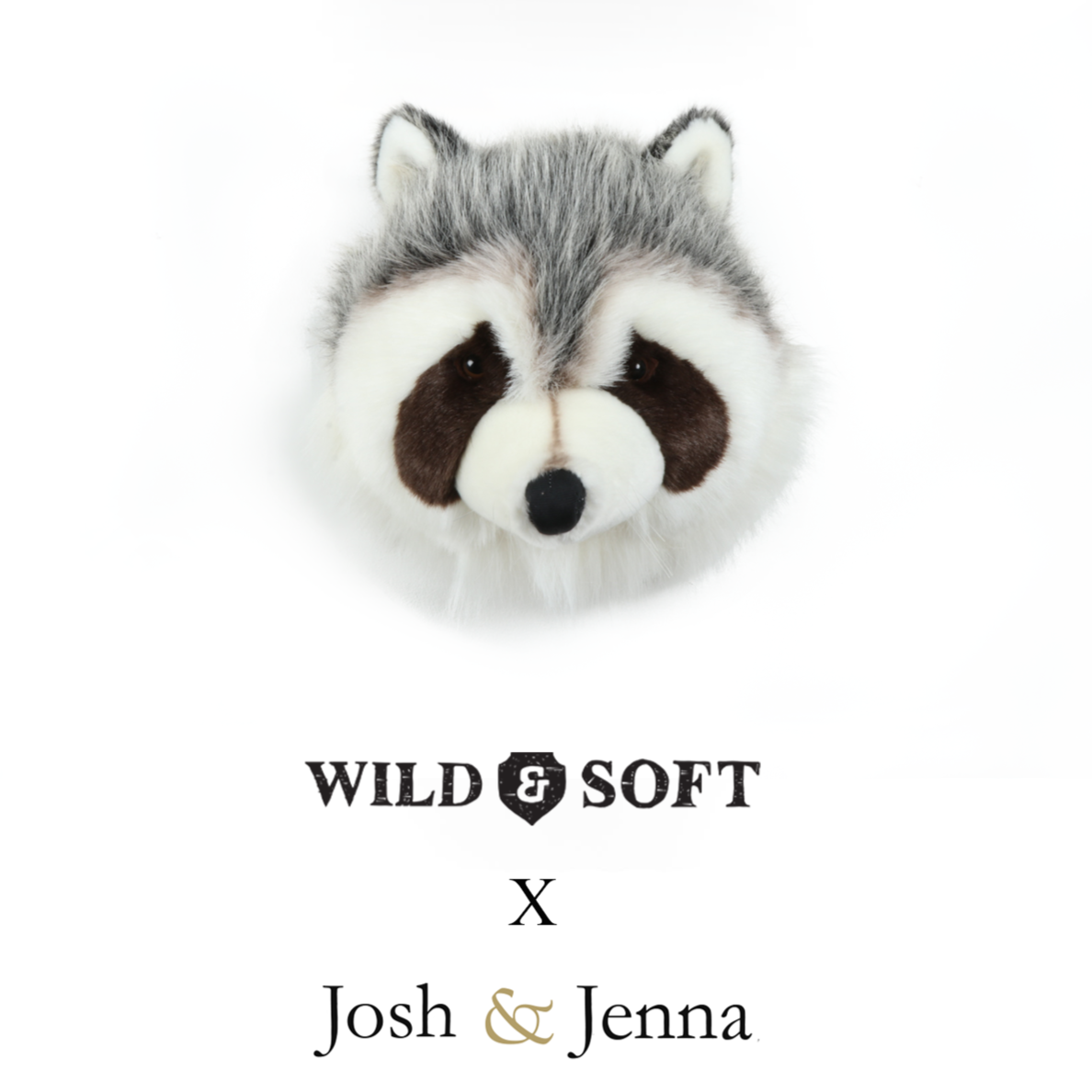 Wild & Soft X Josh & Jenna - Josh The Raccoon