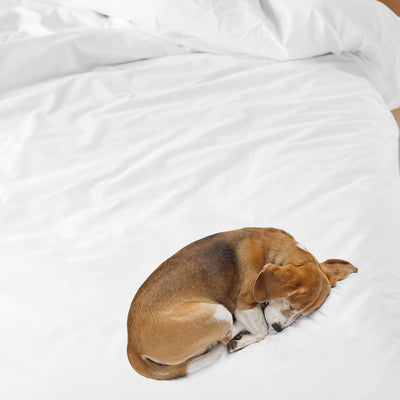 Snurk Bob The Dog Organic Bedding Set
