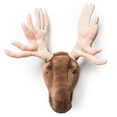 Wild & Soft Wall Toy - Alfred The Moose
