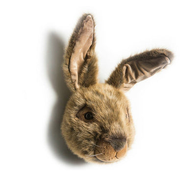 Wild & Soft Wall Toy - Lewis The Hare