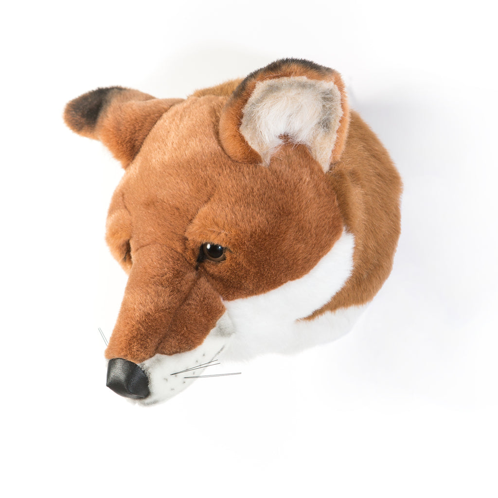 Wild & Soft Wall Toy - Louis The Fox