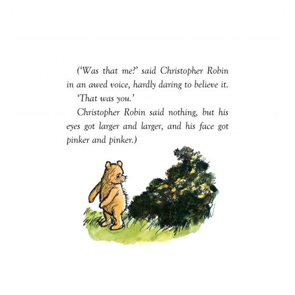 Winnie The Pooh & The Wrong Bees